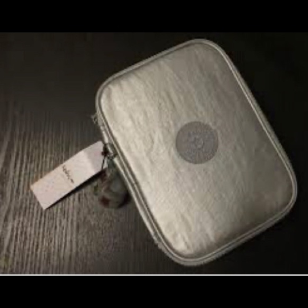 Kipling case in Metallic Silver